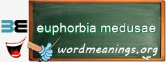 WordMeaning blackboard for euphorbia medusae